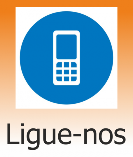 +351 292 292 660